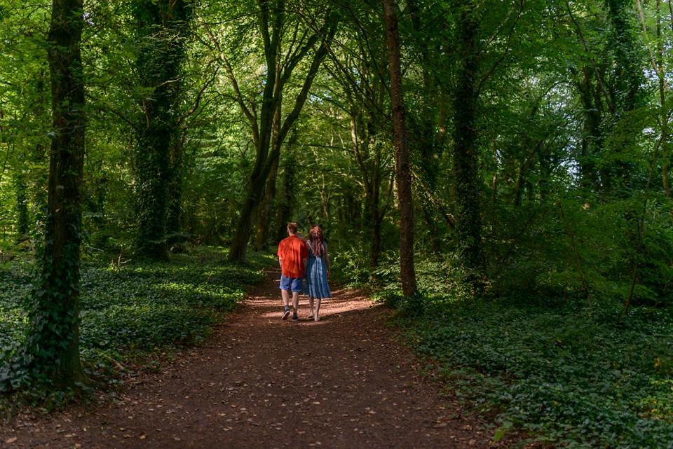 Hawthorn Hut Kilkenny Glamping At Jenkinstown House Campsite Jenkinstown Park